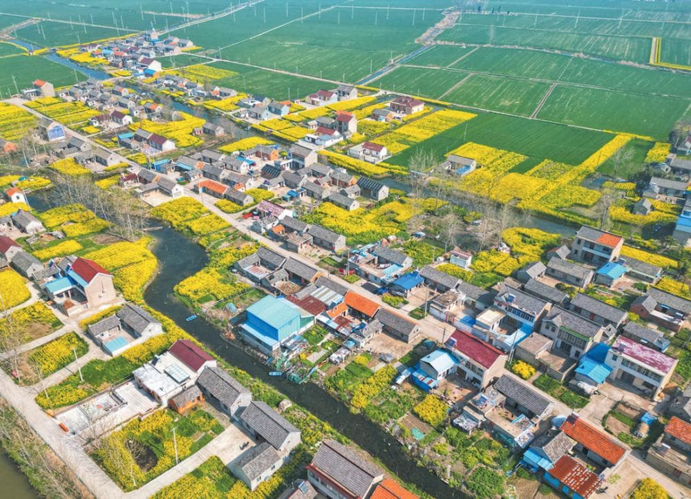 宝应三元村：集体收入过百万，绘就乡村好风景