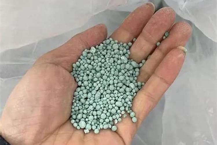 硅肥的神奇效果及其正确施用指南