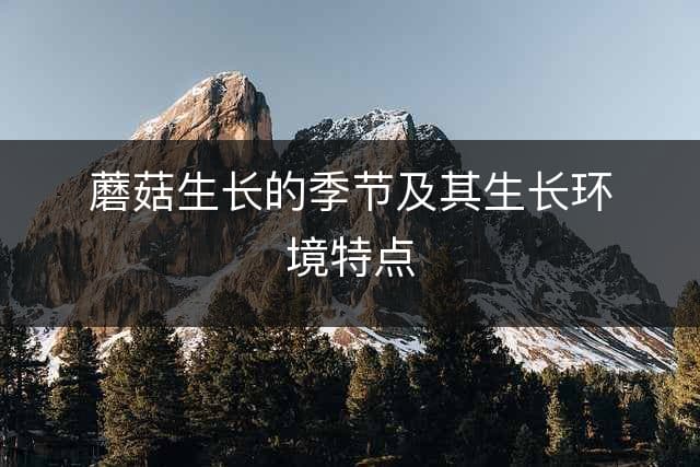 蘑菇生长的季节及其生长环境特点