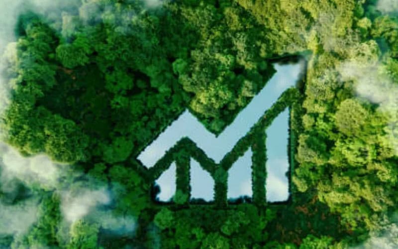 低利率将引发股市反弹，尤其是这两个板块的股票