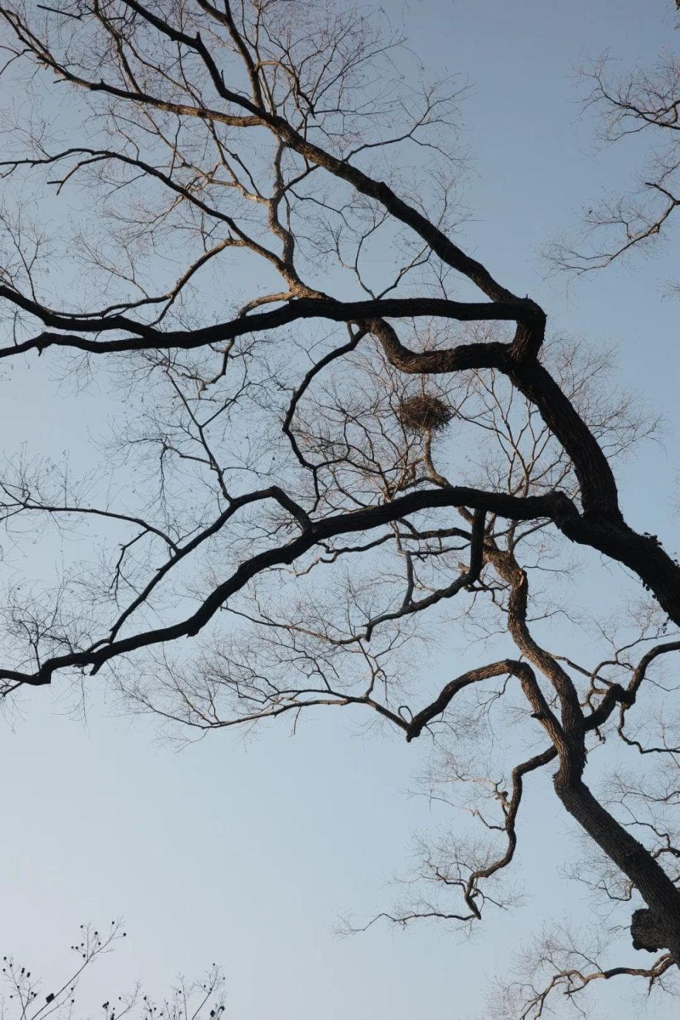 沉默是一种修养
