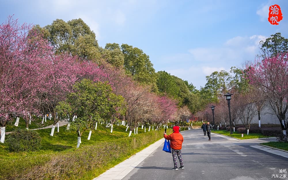 绵阳免费开放的西山公园，不仅有西蜀子云亭，还有三国的蒋琬墓