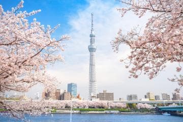 日本最宜居的城市有哪些？