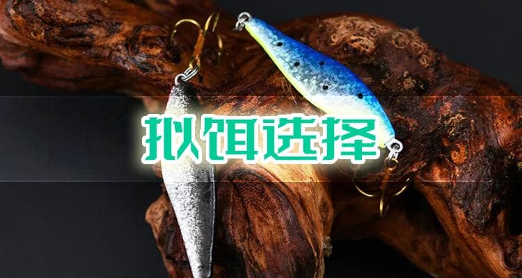 路亚鲈鱼拟饵选择有什么技巧和方法？怎么提高路亚钓鲈鱼的成功率？