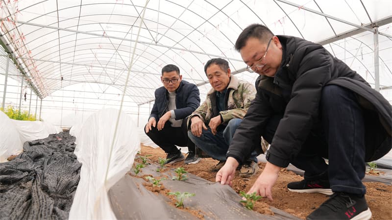 宜城：推广可降解地膜 助力春耕绿色转型