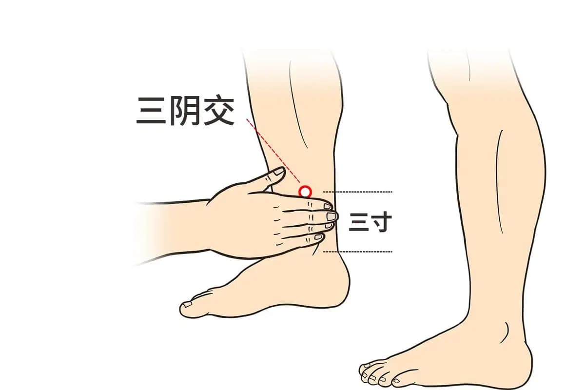 健脾，按揉4个穴位