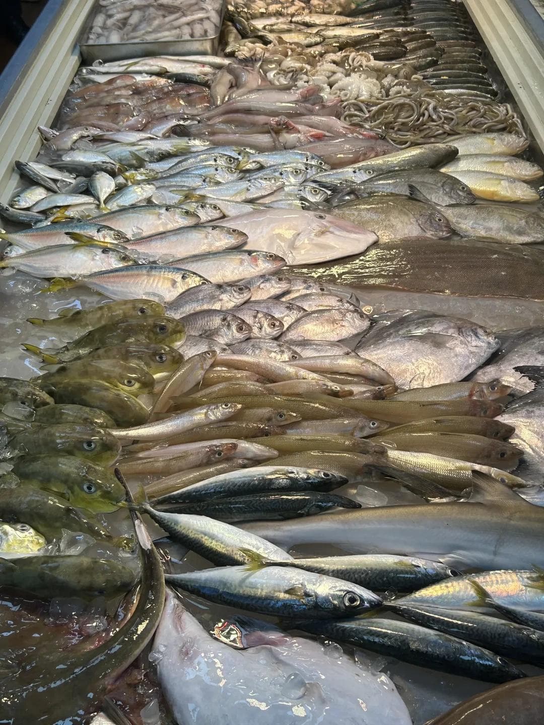 汕尾：低调海滨城的百元海鲜盛宴