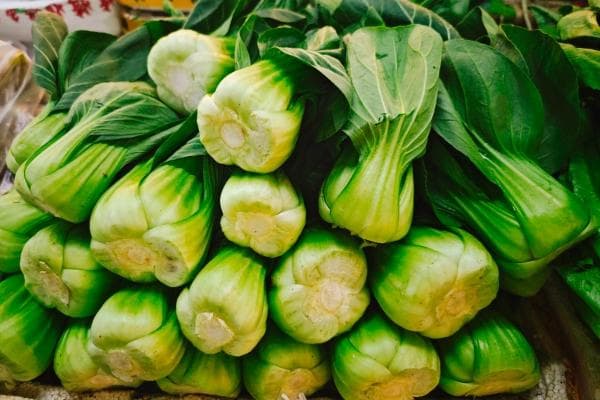 上海青的功效与作用、禁忌和食用方法