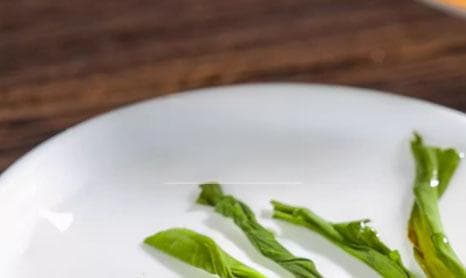 绿茶的利尿作用：探究实证与限制