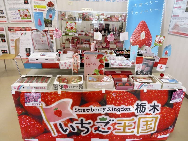 300多品种卷出新高度，日本草莓进入“战国”时代！