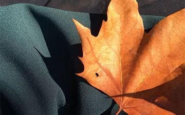 工伤处理三大关键问题：自己跑还是找律师？上班还是辞职？谁来申请？
