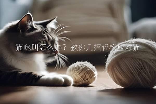 猫咪叫怎么办？教你几招轻松应对猫咪的叫声烦恼