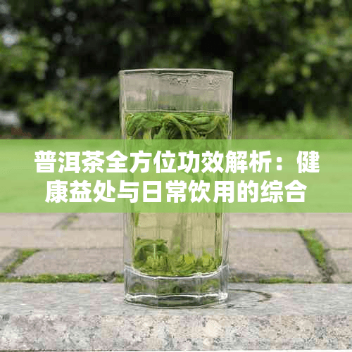 普洱茶全方位功效解析：健康益处与日常饮用的综合指南