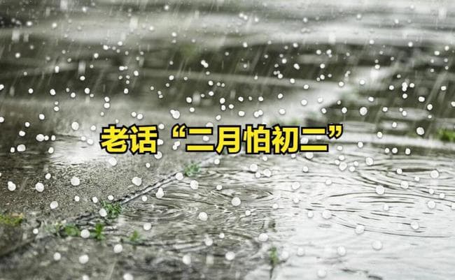 明日二月初二 “最怕二月初二是晴天” 晴天预示春旱来临
