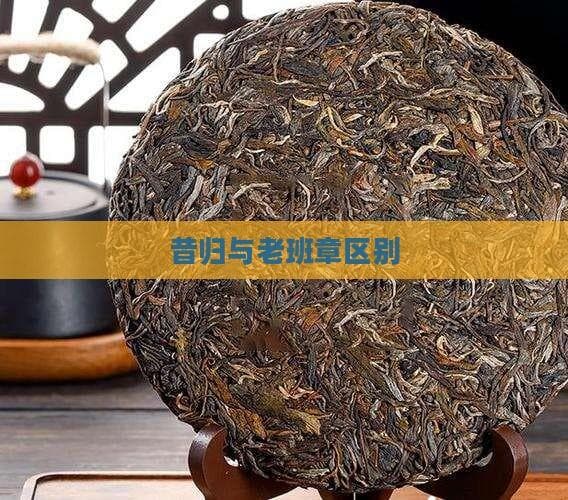 昔归与老班章：云南普洱茶两大名品的深度对比