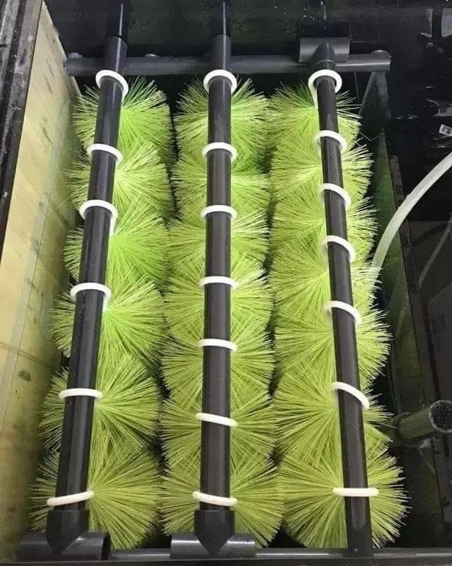 鱼池过滤系统的维护方法