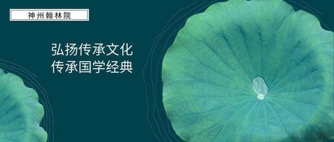 白云寺千年银杏树的秋冬之美与历史传承