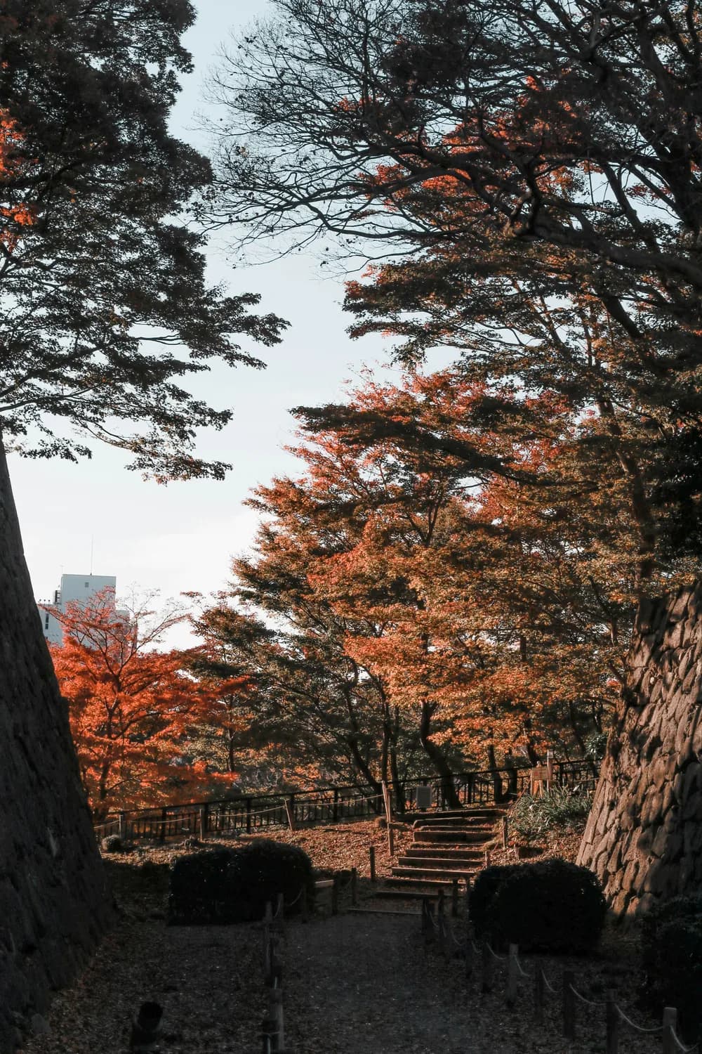 滕王阁下秋日美景，你打卡了吗？