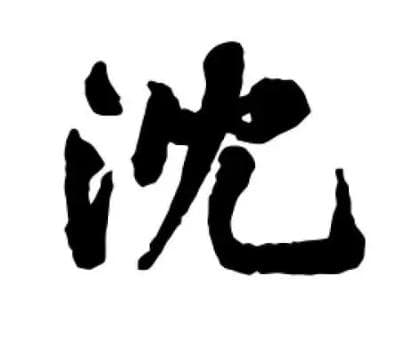 追寻姓氏之源：沈姓的起源与来历