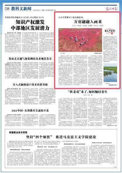 生物多样性保护 | 《光明日报》点赞山东东营黄河口候鸟栖息地：万羽翩翩入画来
