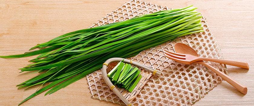 韭菜知识百科：营养价值、功效与食用指南