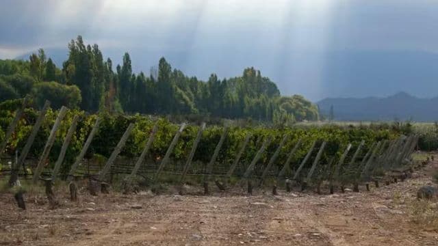 阿根廷8个乡村参评联合国“最佳旅游乡村”，各有何特色？