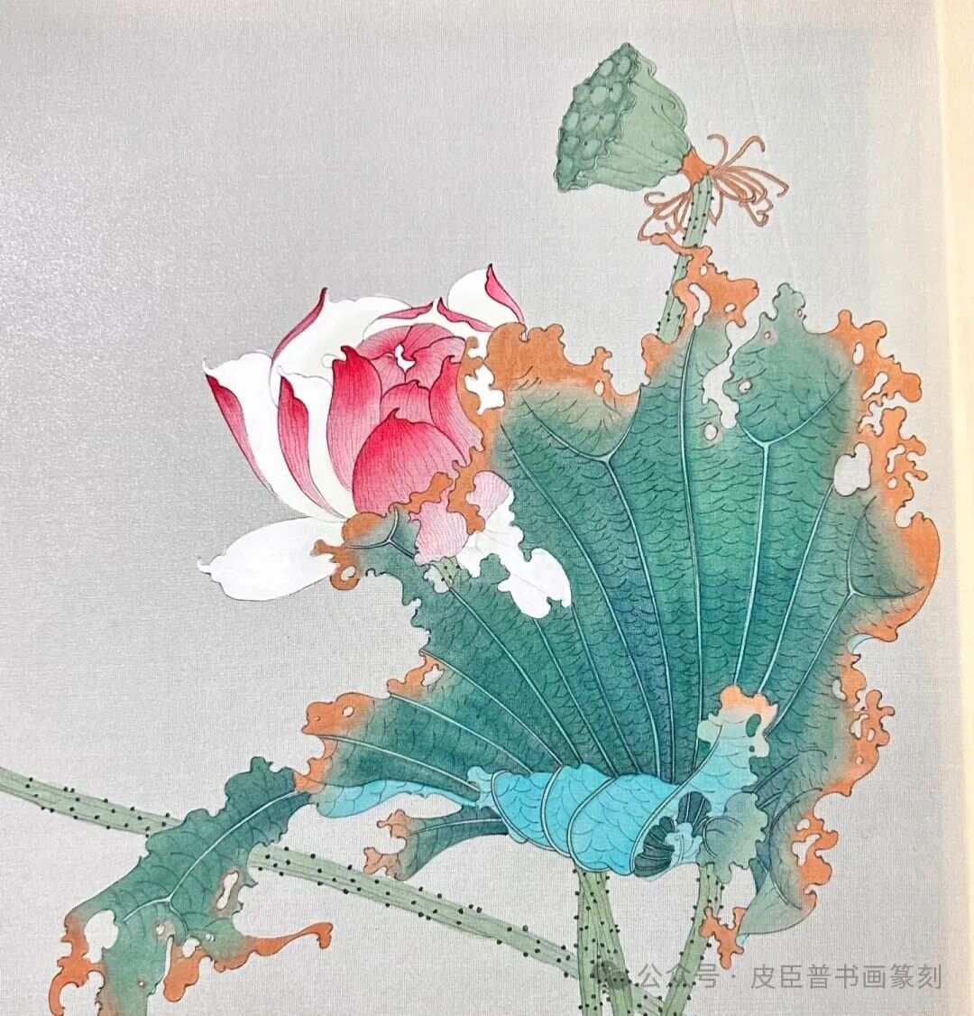 国画荷花没骨写意画法详解