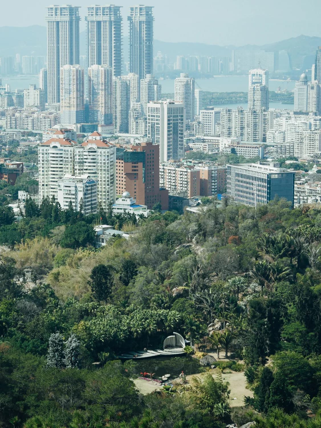 公明社区：共建美好家园，市民积极参与爱国卫生活动