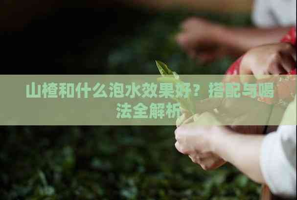 山楂和什么泡水效果好？搭配与喝法全解析