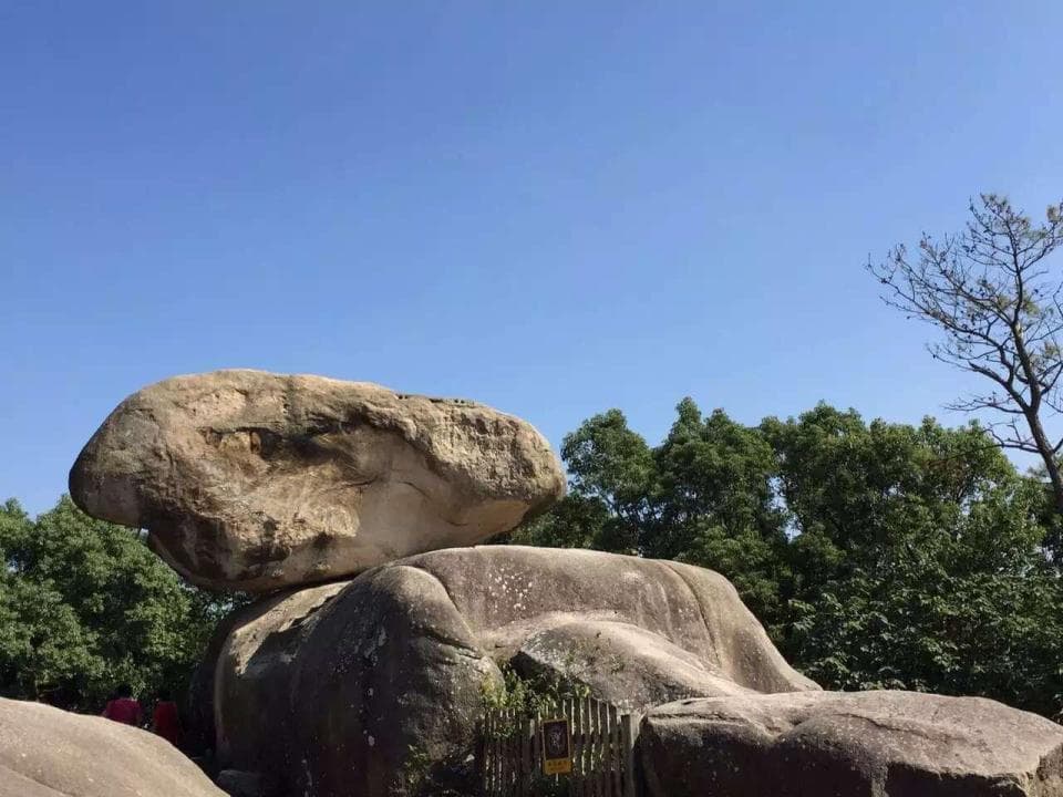 春节去自驾热门景区，要预约吗？收好这份详细出游指南