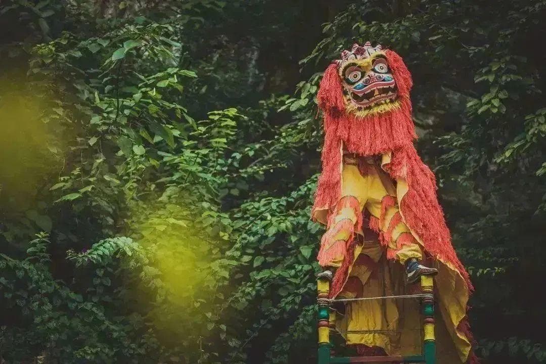 非遗年味丨黔西南布依族高台狮灯舞，热闹欢快又惊险刺激
