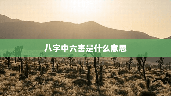 八字中六害是什么意思
