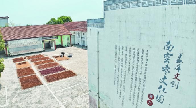 从一颗枣子到一条产业链——义乌市大力发展枣产业发展纪实