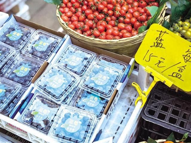 蓝莓价格近期很亲民