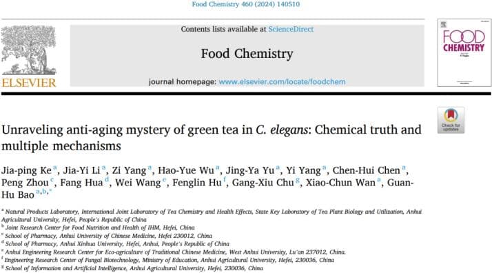 Food Chem | 绿茶中的抗衰老秘诀：化学物质与多重机制
