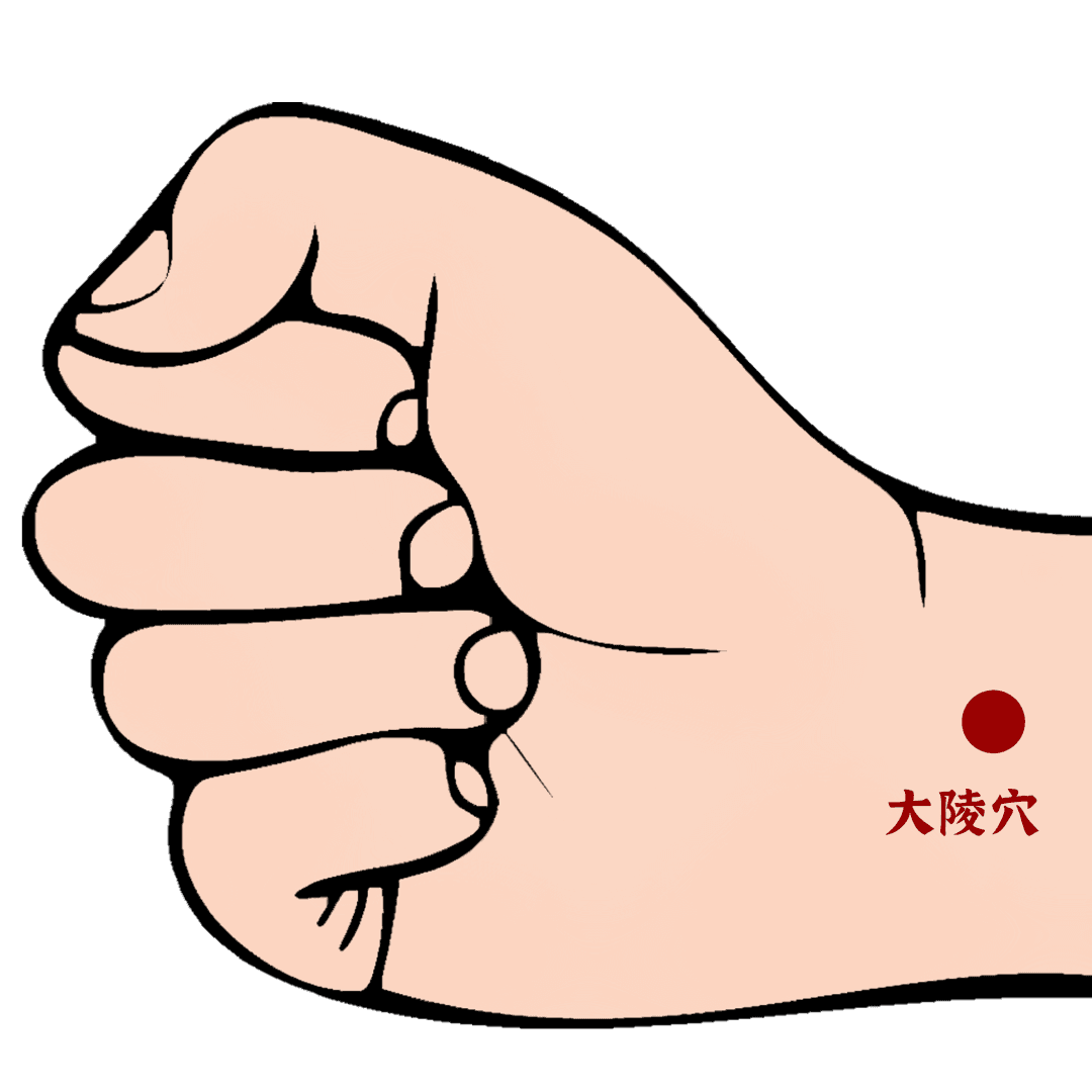 【每周一穴】宁心安神，和胃降逆——大陵穴的神奇日常应用