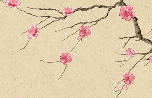 女士佩戴佛珠全攻略：从方法到禁忌的完整指南