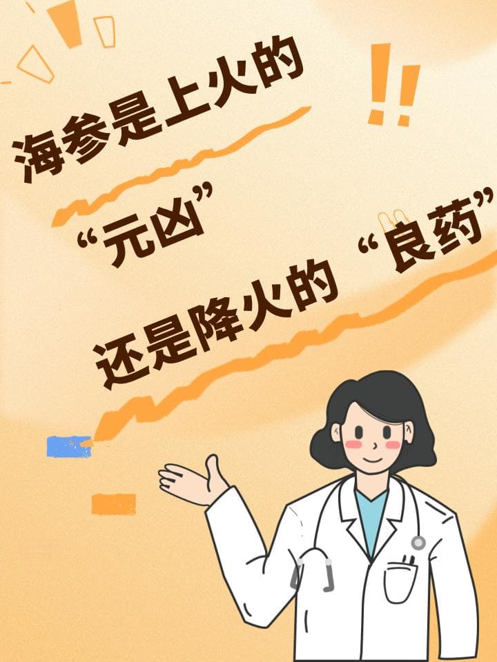 海参是上火的“元凶”还是降火的“良药”？