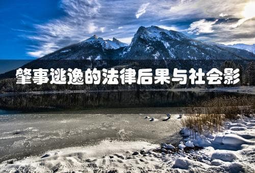 肇事逃逸的法律后果与社会影响解析