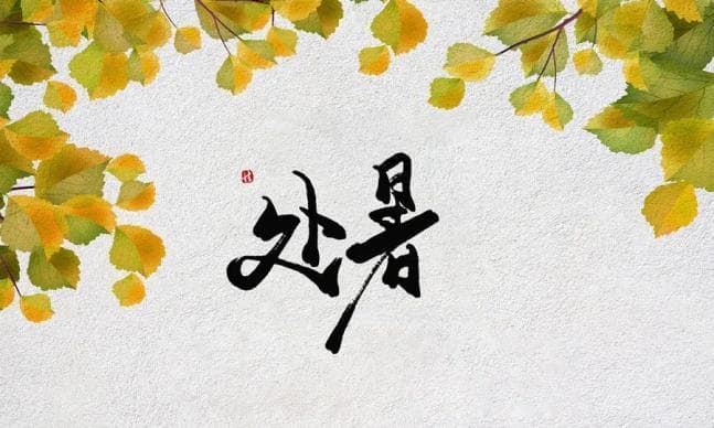 处暑养生四大要点：起居、饮食、运动、穴位保健