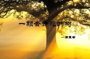 一棵开花的树
