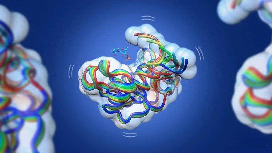 一秒钟，千万次反应！斯坦福大学新突破，解释了酶的不可思议速度