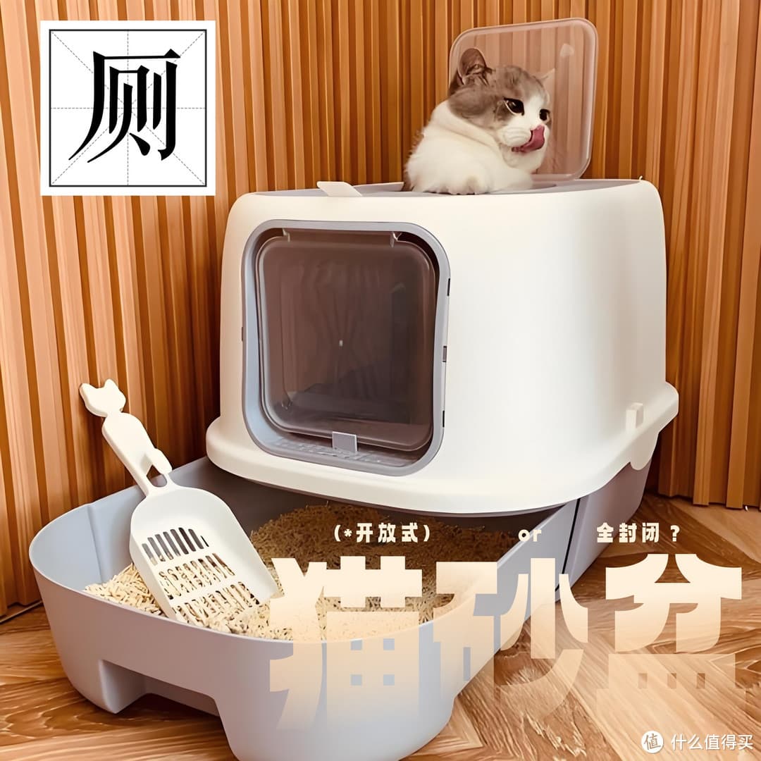 猫咪心情大不同！揭秘开放式与封闭式猫砂盆的秘密！