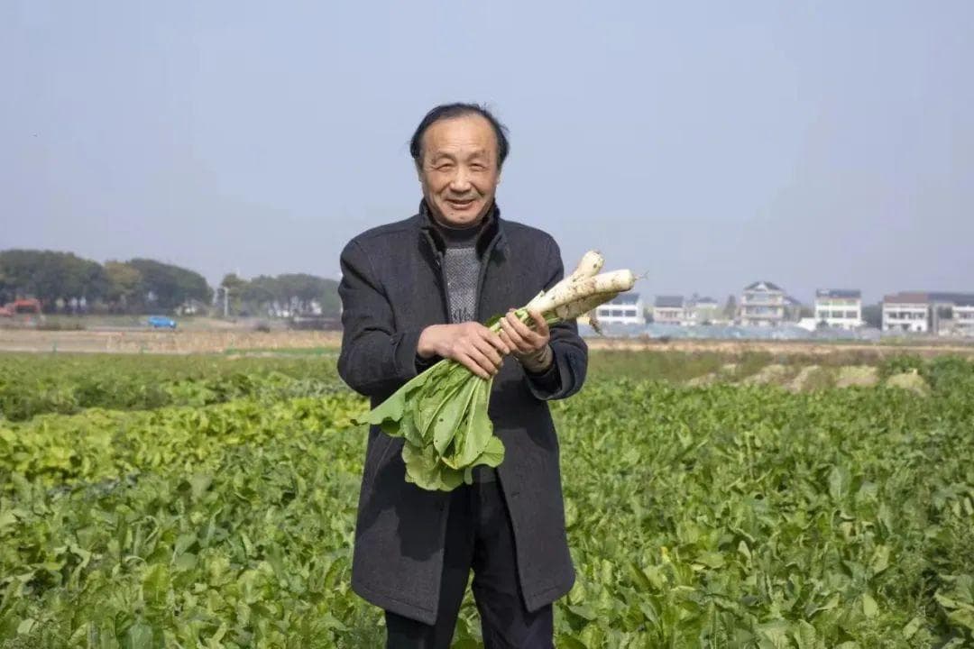 马国荣：一心情系萝卜干 服务社会传文化