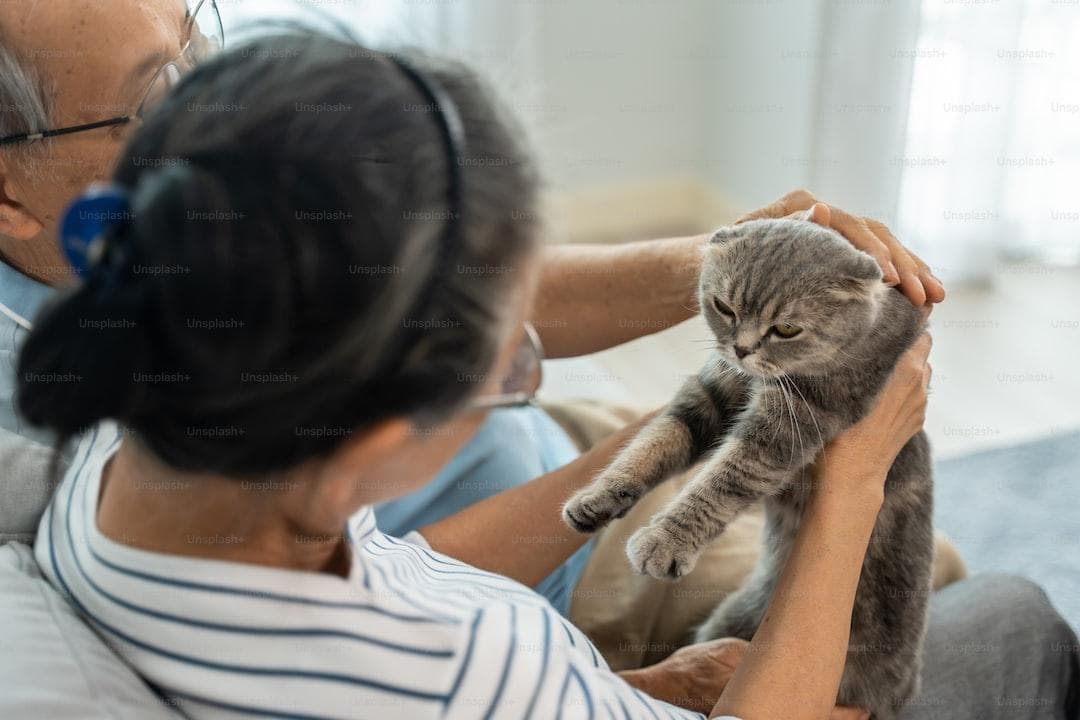 医疗险20年保证续保重要吗？
