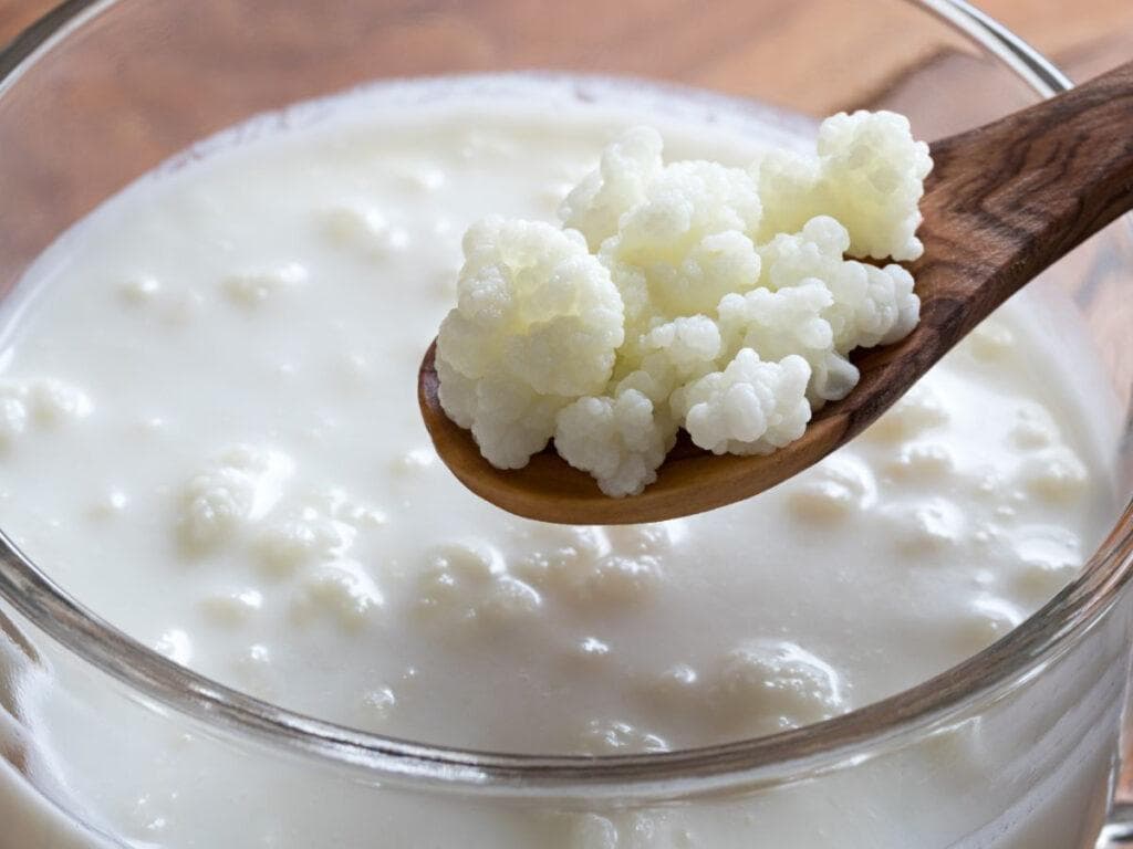 开菲尔（kefir）魔法：探索开菲尔的健康益处与家酿秘籍