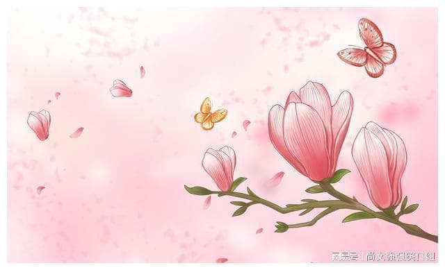 与人相处的大智慧：三不争