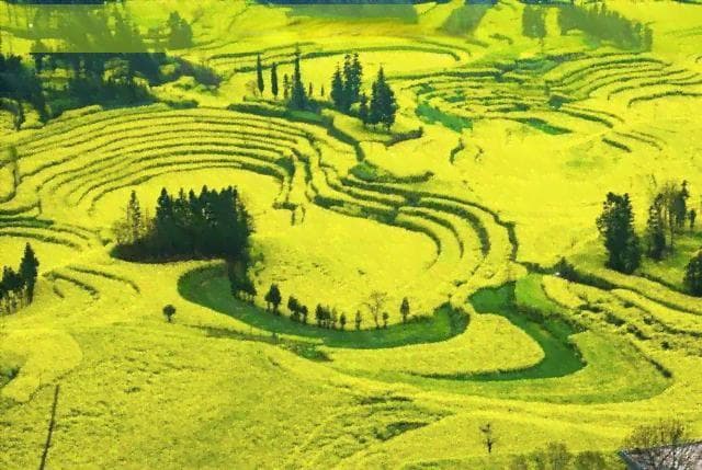 探索四川：精选户外探险旅游目的地