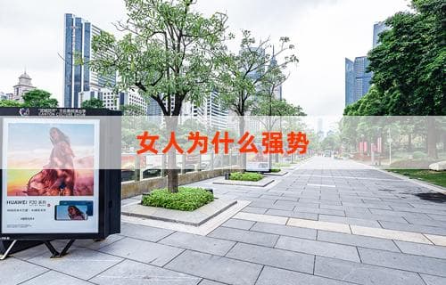 女人为什么强势：社会现象下的多维度解读