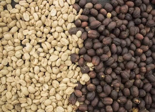 解密肯尼亚咖啡豆分级体系：从E级到TOP级详析